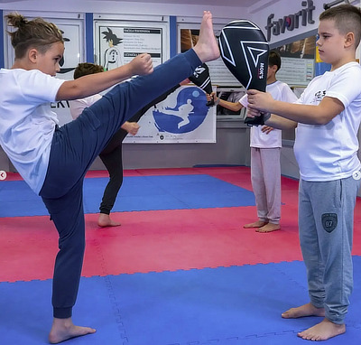 Tekvondo klub Novi Sad